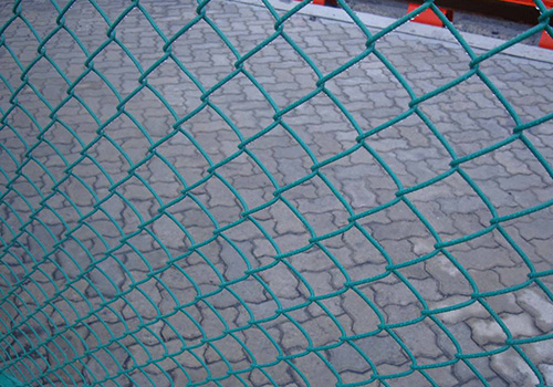 運城邊坡勾花網圖片2