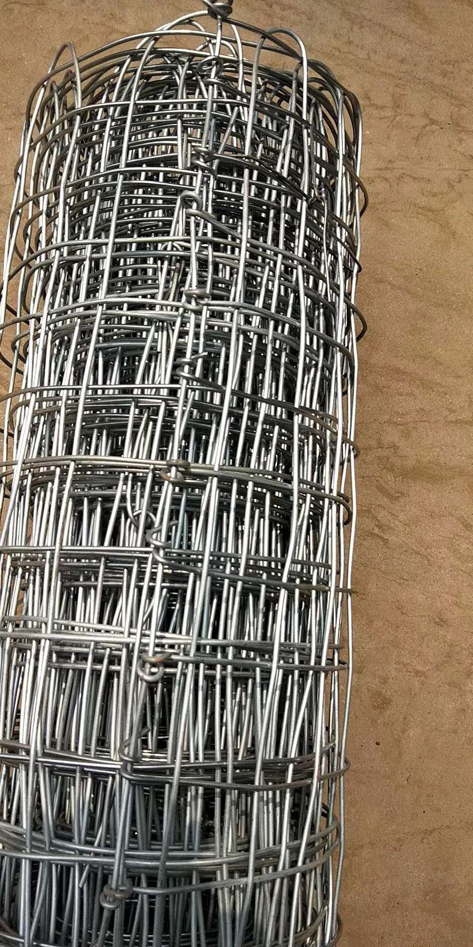 經緯網的特色圖片1