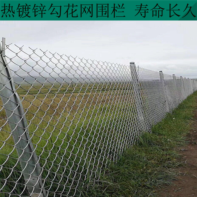 運城勾花網隔離網圖片2